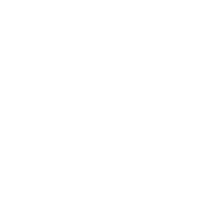 Logo Drius-Invive Milano