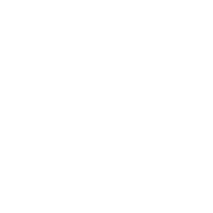 Logo Lenza-Invive Milano
