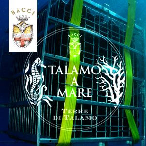 Logo-Bacci-Wines-Talamo-a-Mare-Invive-Milano