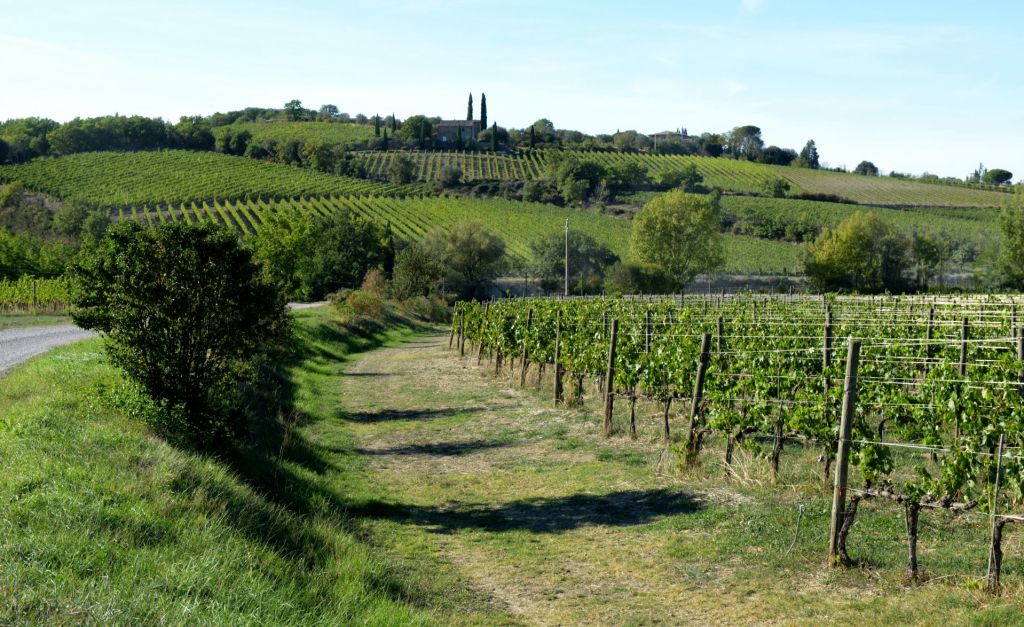 Valdicava-Vigna2-Invive Milano